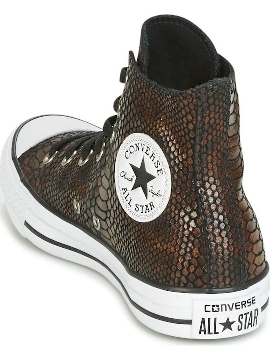 All Star Chuck Taylor Hi Snake Fashion Tip Botine Maro