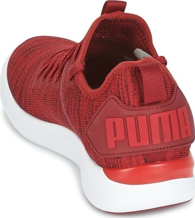 puma ignite flash geo