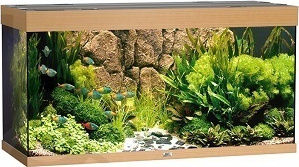 Juwel Rio 350 LED Beech Fisch-Aquarium mit Kapazität von 350Es mit Beleuchtung, Heizung, Umwälzpumpe, Filter und 121x51x66cm Beige