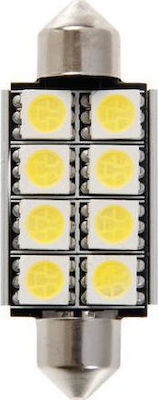 Lampa Λάμπα Αυτοκινήτου & Μοτοσυκλέτας Hyper-Led Power 24 SV8.5-8 Canbus LED 6500K Ψυχρό Λευκό 12V 1τμχ