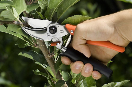 Lowe Ψαλίδι Κλαδέματος Μήκους 19cm με Μέγιστη Διάμετρο Κοπής 20mm
