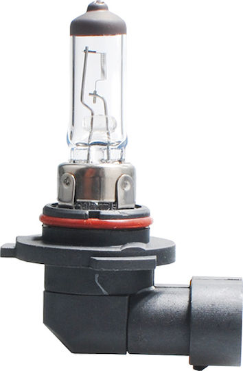 M-Tech Lamps Car & Motorcycle Standard H10 Halogen 12V 42W 1pcs