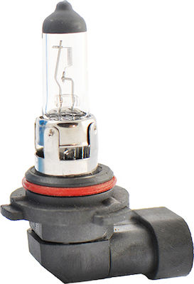 M-Tech Lămpi Autoturismului & Motocicletei Standard HB4-9006 Halogen 12V 55W 1buc