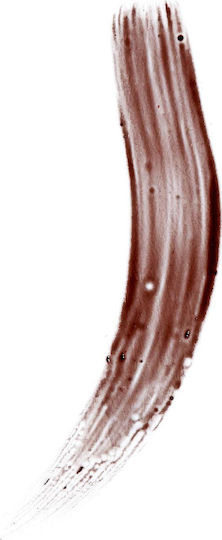 Revolution Beauty Brow Tint Βαφή για Φρύδια Medium Brown 6gr