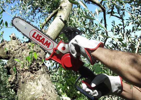 Lisam 2SP Druckluft-Kettensäge mit Llama 10"