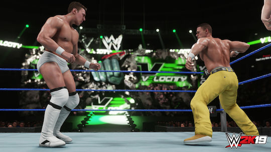 WWE 2K19 PS4 Game