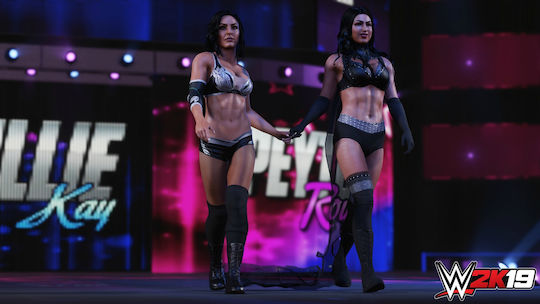 WWE 2K19 Deluxe Edition Xbox One Game