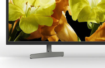 Sony Smart Fernseher 55" 4K UHD Direkte LED KD-55XG8196 HDR (2019)