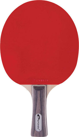 Spokey Exercise Ρακέτα Ping Pong για Αρχάριους Παίκτες
