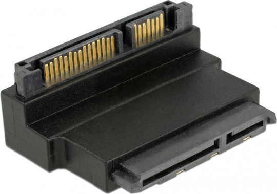 DeLock Schwarz (63943)