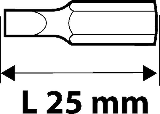 Topex Set 10 Biți Șurubelniță Cruce Bituri PH2 25mm