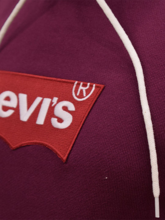 Sweatshirt mit Kapuze Burgundisch