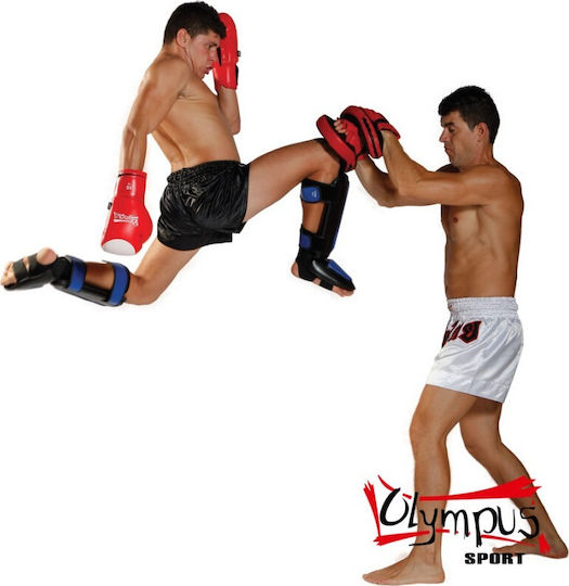 Olympus Sport Focus Mitts Curved Hand Targets 2pcs Multicolour