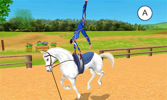 Imagine Championship Rider 3D 3DS Game (Used)