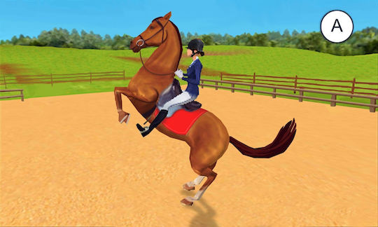 Imagine Championship Rider 3D 3DS Game (Used)