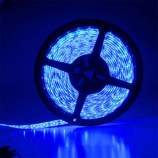 Atman Rezistent la apă Bandă LED 24V Albastru Lumină 5m Tip SMD5050