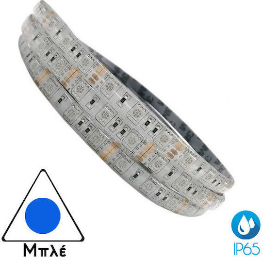 Atman Rezistent la apă Bandă LED 24V Albastru Lumină 5m Tip SMD5050