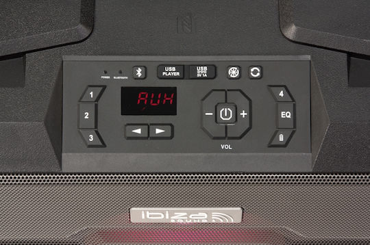 Ibiza Sound Karaoke Speaker with Wired Microphone and Lighting Effects WPORT10-300 Black