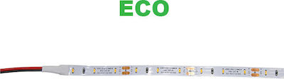 Adeleq LED Strip Power Supply 12V with Green Light Length 5m and 60 LEDs per Meter SMD3014