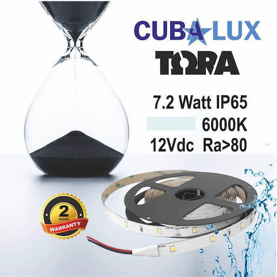 Cubalux Waterproof LED Strip 12V Cold White Light 5m Type SMD2835