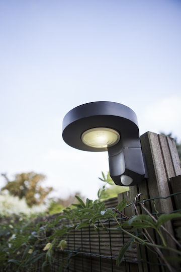 Lutec Diso Wall Mounted Solar Light 2W 200lm Natural White 4000K with Motion Sensor and Photocell IP44 12.5cmx17.5cmx16cmcm