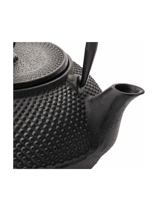 Bredemeijer Jang Teapot with Filter Cast Iron Black 800ml