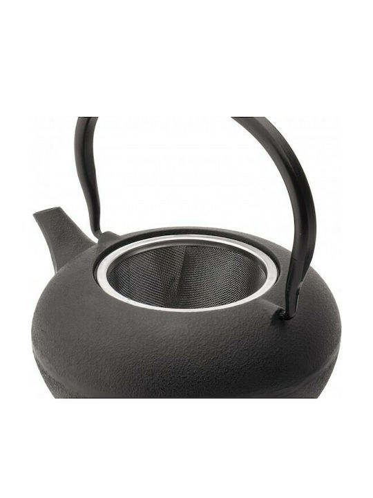 Bredemeijer Shanxi Tea Set with Cup and Filter Cast Iron Black 1000ml 3pcs