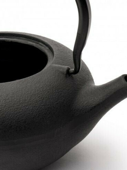 Bredemeijer Shanxi Tea Set with Cup and Filter Cast Iron Black 1000ml 3pcs