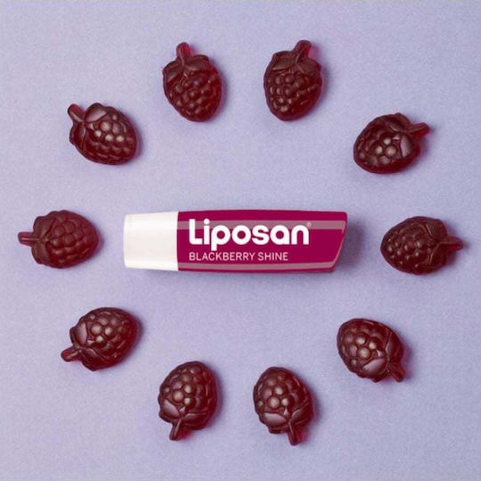 Liposan Fruity Shine Lip Balm Blackberry 4.8gr