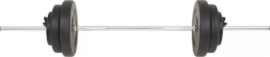 vidaXL Straight Bar Φ25mm Set with Strength Training Weight 30kg 120cm Length with Pegs