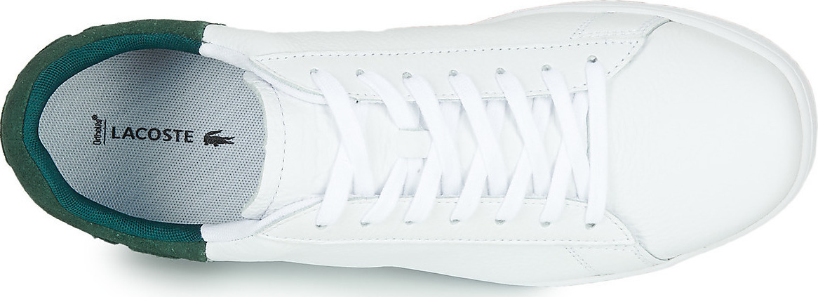 lacoste carnaby evo 419