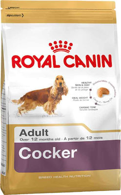 Royal Canin Adult Cocker 12kg Ξηρά Τροφή για Ενήλικους Σκύλους Μεσαίων Φυλών με Καστανό Ρύζι και Κοτόπουλο