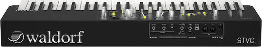 Waldorf Synthesizer STVC με 49 Δυναμικά Πλήκτρα Μαύρο