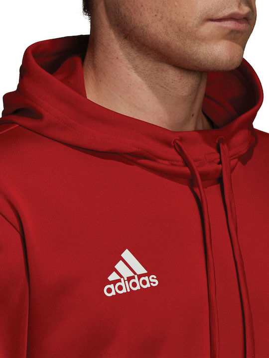 Adidas Team 19 Men's Sweatshirt with Hood and Pockets Red