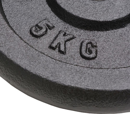 vidaXL Σετ Δίσκοι Μεταλλικοί 4 x 5kg Φ30mm