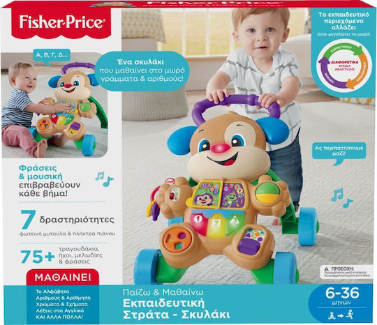 Fisher Price Dog Animal for 6+ Months Orange