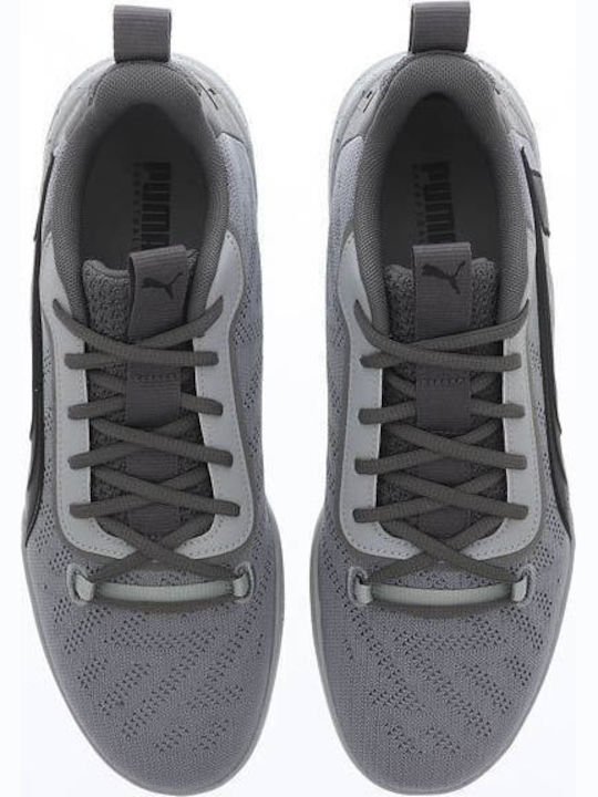 Legacy Low Niedrig Basketballschuhe Gray