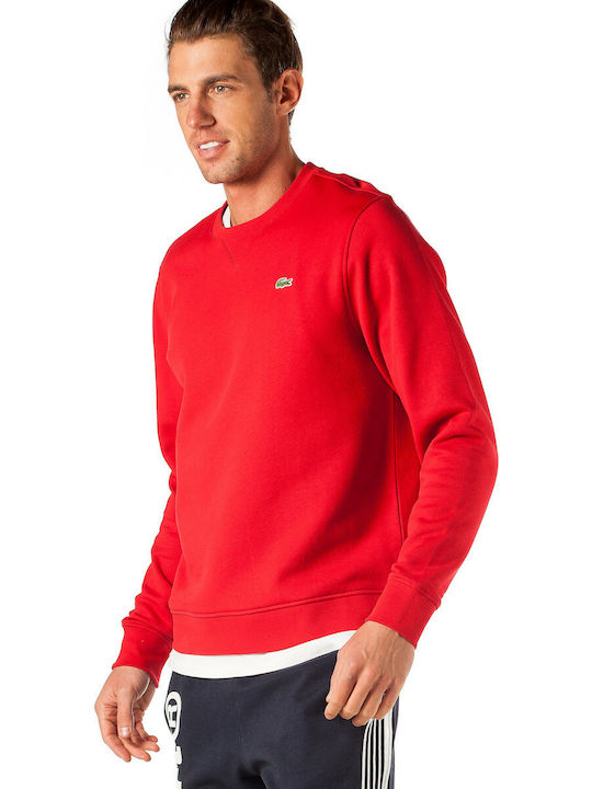 Lacoste sh7613 online