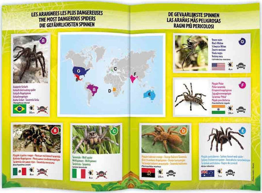 Buki Tarentula Ferngesteuertes Spielzeug