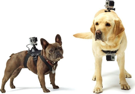Dog Harness Dog Support Base Universal