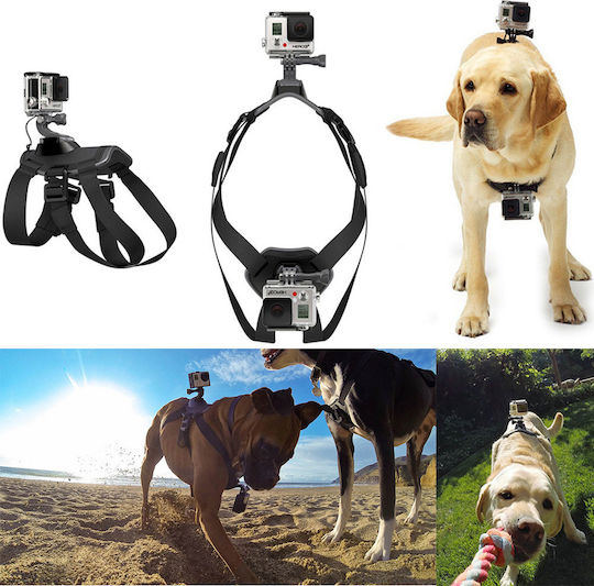 Dog Harness Dog Support Base Universal