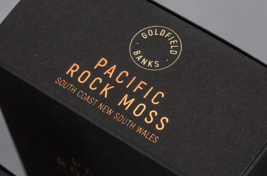 Pacific Rock Moss Парфюмна вода 100мл