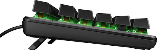 HP Pavilion 800 Gaming Mechanische Tastatur mit Benutzerdefiniertes Rot Schaltern und RGB-Beleuchtung (Englisch US)