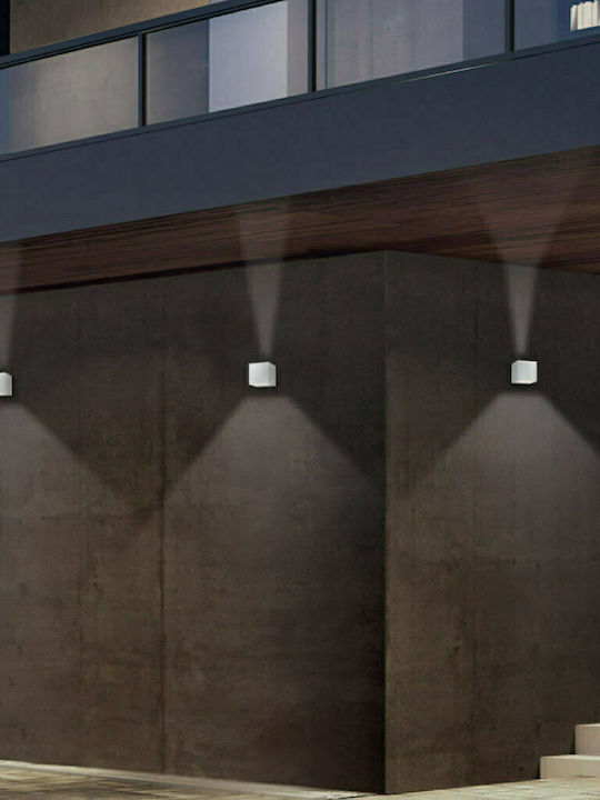 Trio Lighting Adaja Wall-Mounted Outdoor Ceiling Light LED IP54 3W with Warm White Light 8x8εκ.