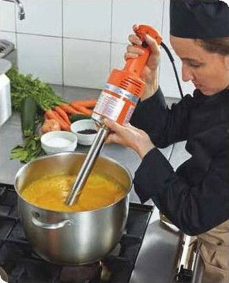 Dynamic Mixers PMX 98 Blender de mână comercial cu ax de 300mm și putere de 350W