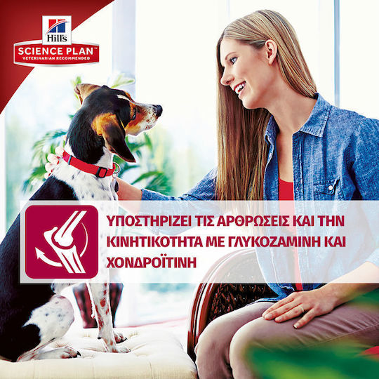 Hill's 14kg Dry Food for Adult Large Breed Dogs with Chicken