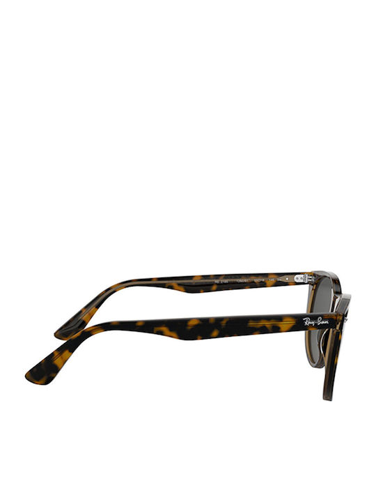 Ray Ban Wayfarer II Унисекс Слънчеви Очила с Кафяв Костенурков Пластмасов Рамки и Черни Лещи
