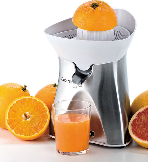 Ariete Electric Juicer 60W Inox Gray
