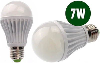 LED Bulb E27 Cool White 550lm