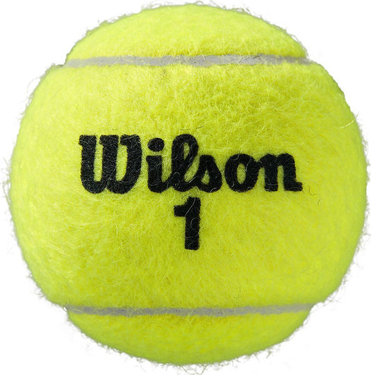 Wilson Roland Garros Clay Μπαλάκια Τένις για Τουρνουά 4τμχ
